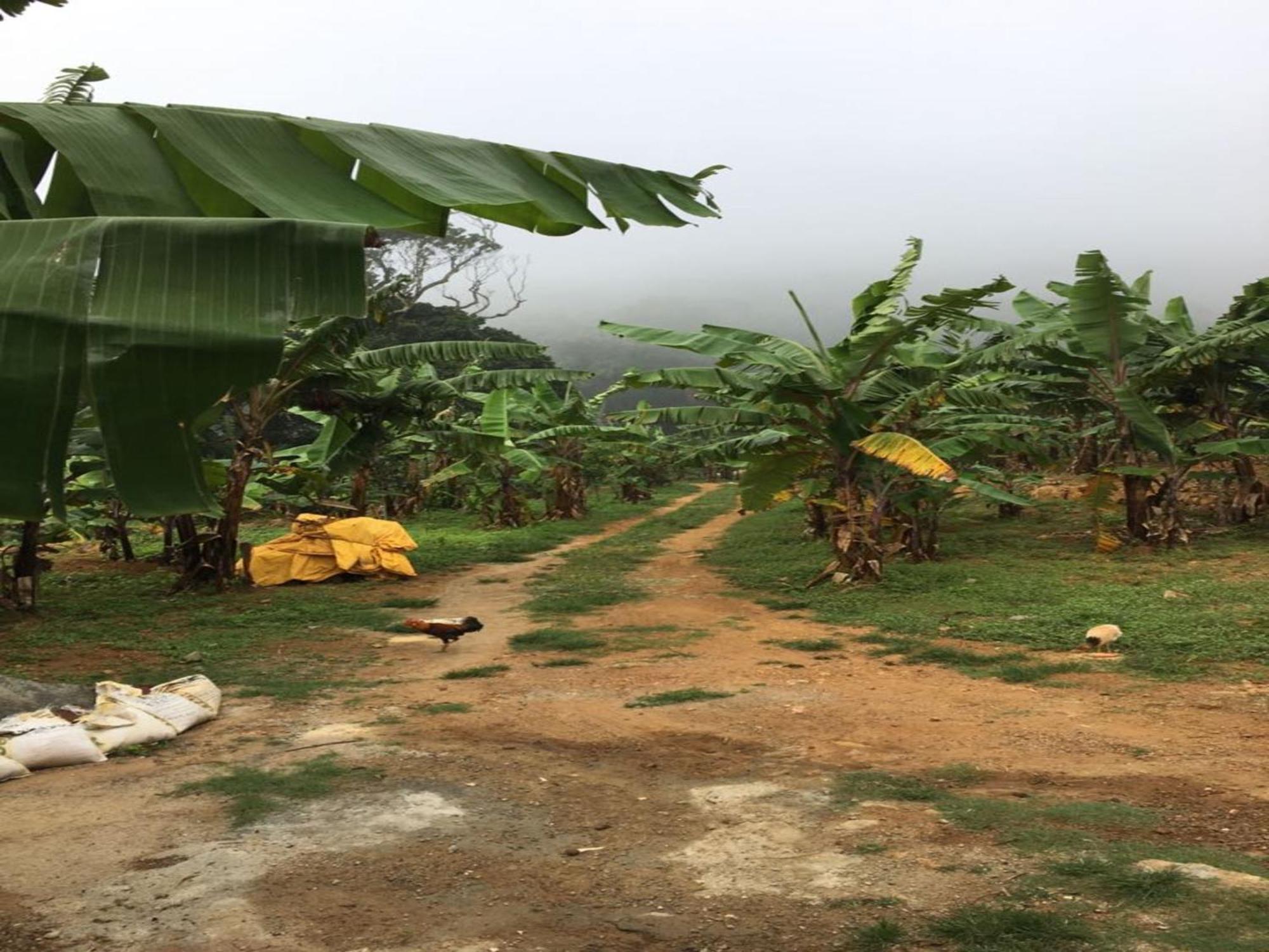 Coastal Grand Mahendravanam - Kolli Hills Exterior foto